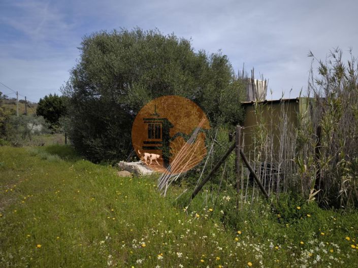 Image No.44-Plot for sale