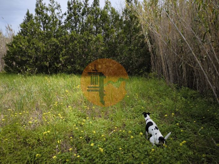 Image No.3-Plot for sale