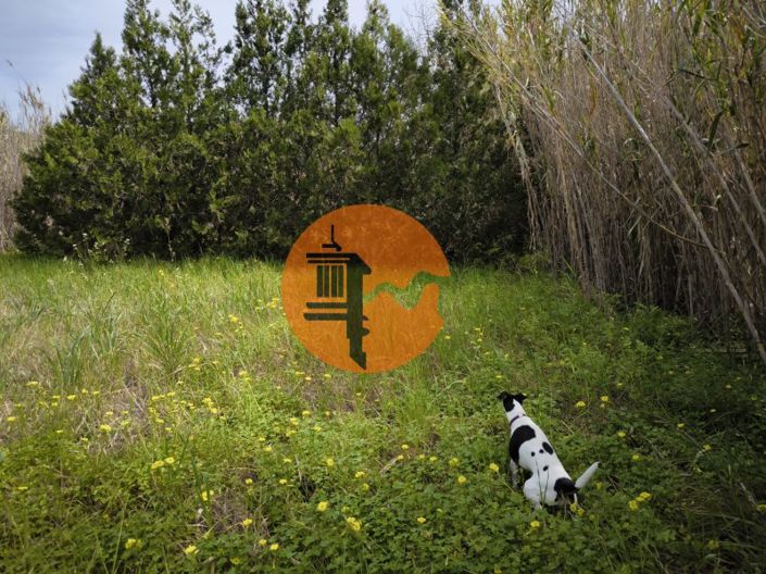 Image No.3-Plot for sale