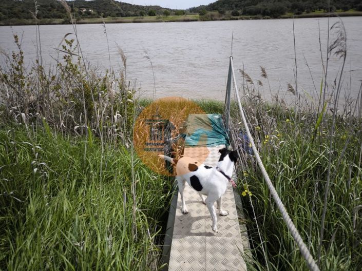 Image No.31-Plot for sale