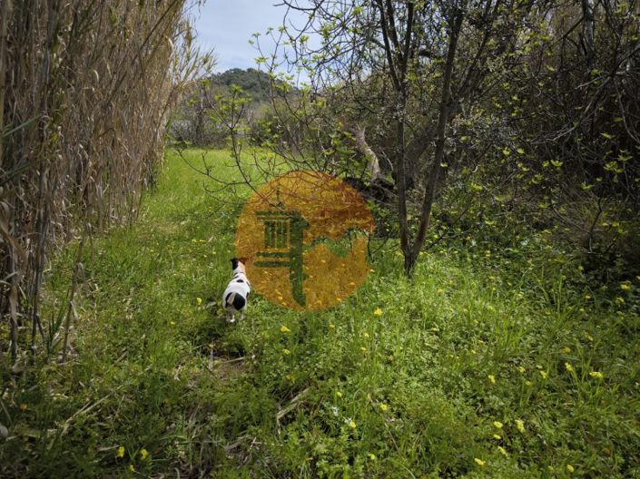 Image No.39-Plot for sale