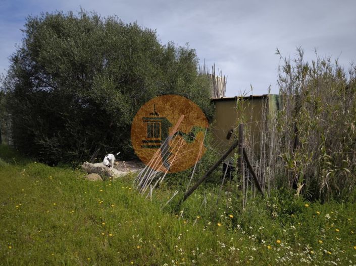 Image No.4-Plot for sale