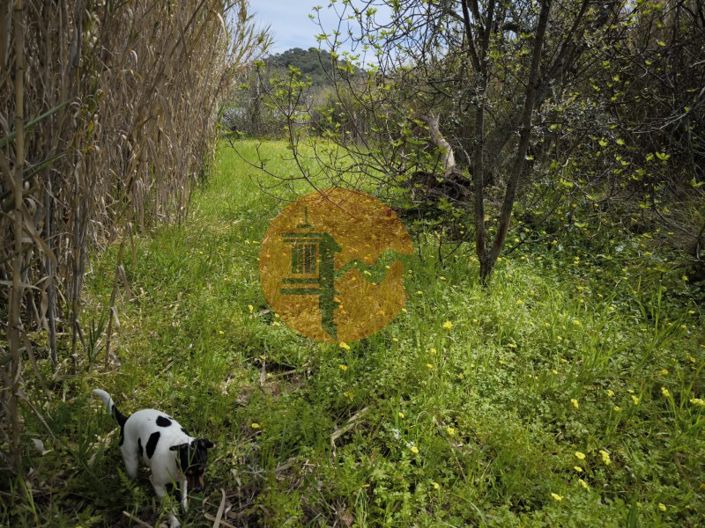 Image No.40-Plot for sale