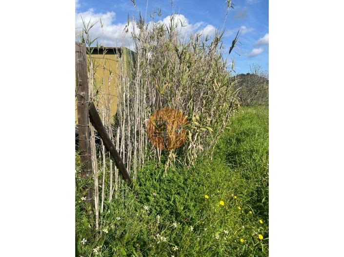 Image No.6-Plot for sale