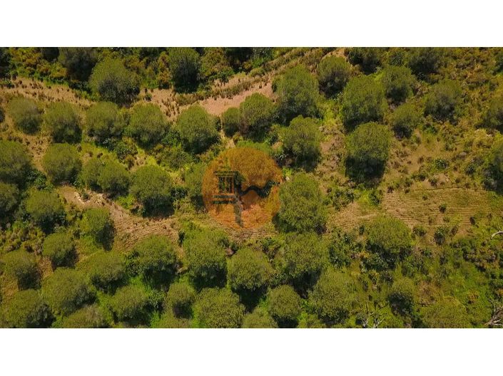 Image No.21-Terrain à vendre à Castro Marim