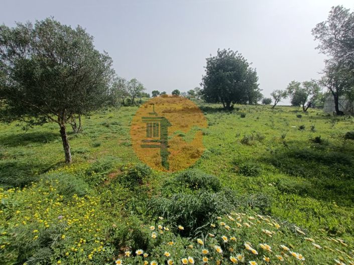 Image No.14-Plot for sale