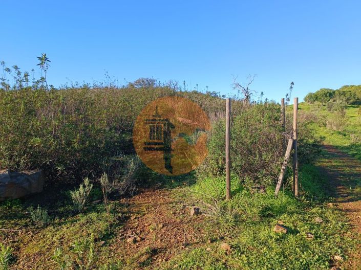 Image No.22-Plot for sale