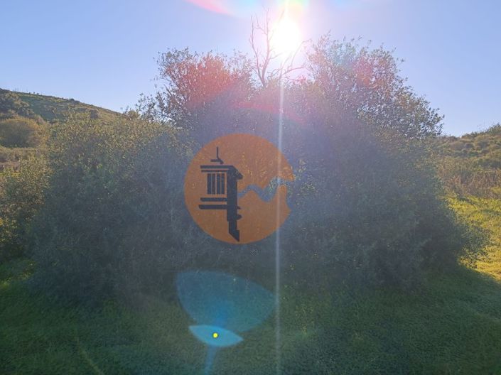 Image No.8-Plot for sale