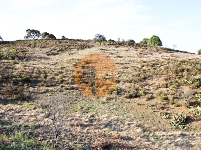 Image No.14-Plot for sale