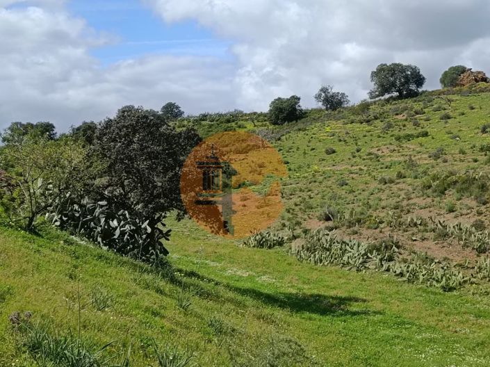 Image No.29-Plot for sale