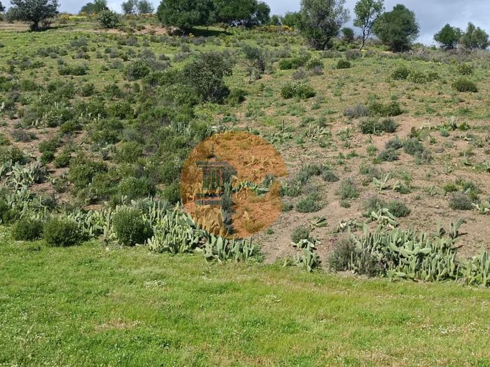 Image No.28-Plot for sale