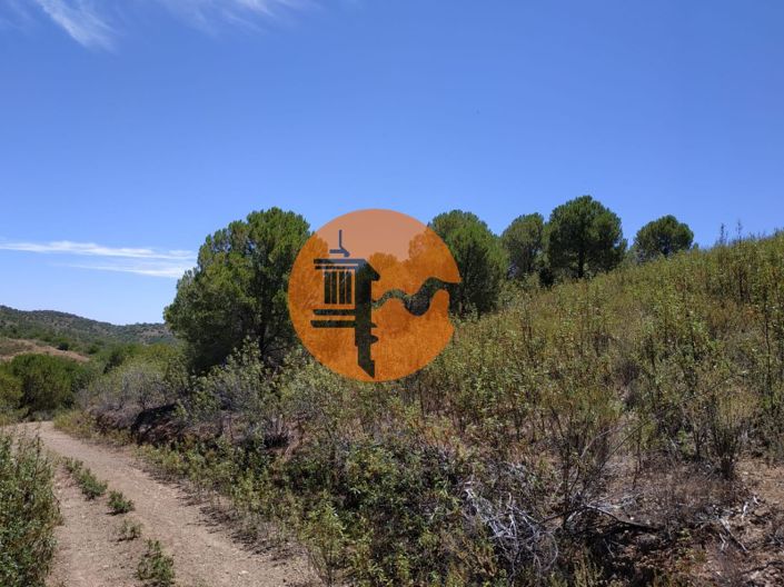 Image No.49-Plot for sale