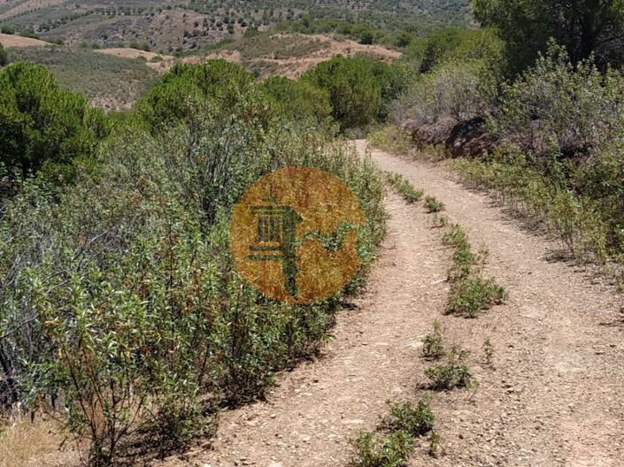 Image No.50-Plot for sale