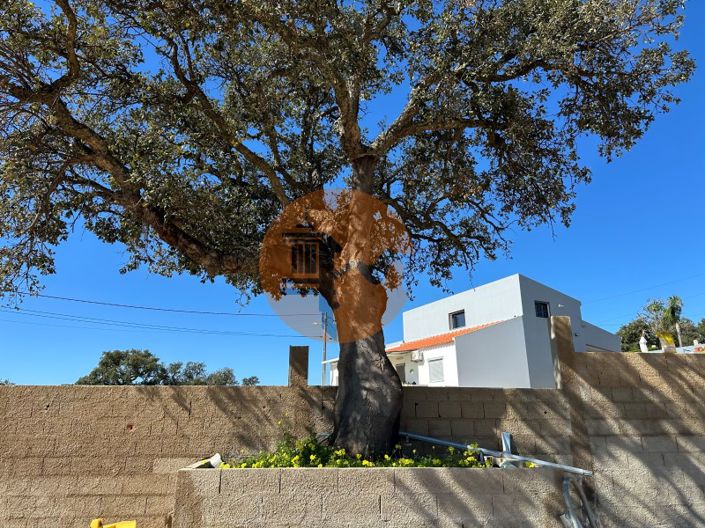 Image No.13-3 Bed House for sale