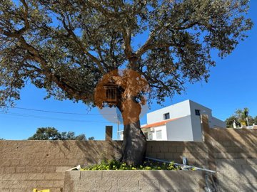 id9a107b01-0000-0500-0000-000018def1e2