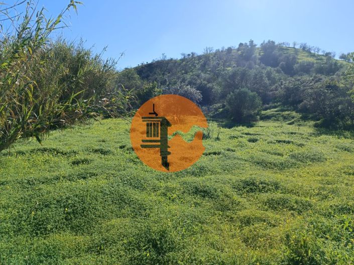 Image No.10-Plot for sale