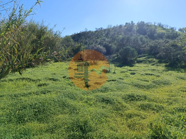 Image No.10-Plot for sale