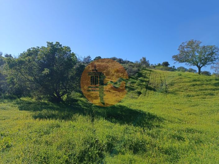 Image No.11-Plot for sale