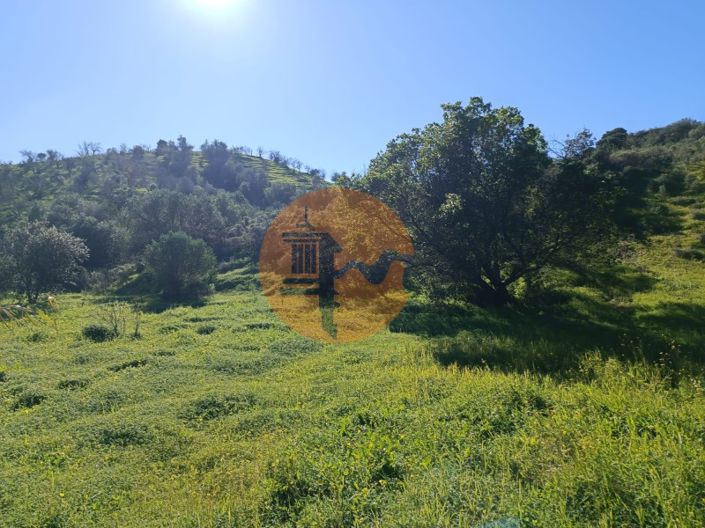 Image No.12-Plot for sale