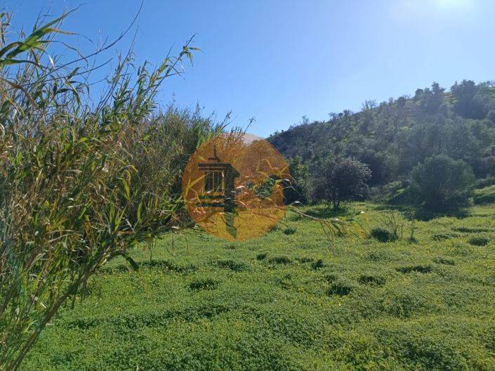 Image No.13-Plot for sale