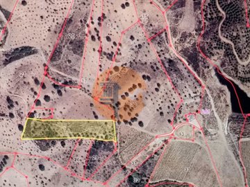 id9b4f7701-0000-0500-0000-00001308328a