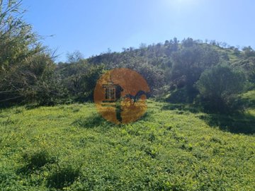 id9b4f7701-0000-0500-0000-000013083284