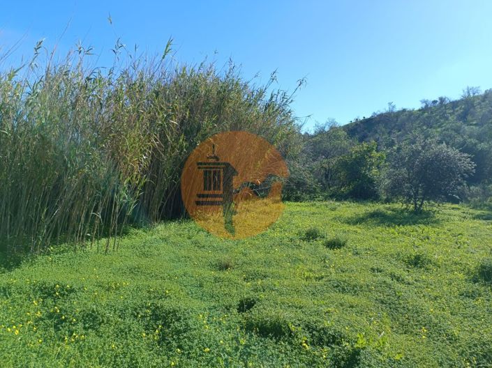 Image No.16-Plot for sale