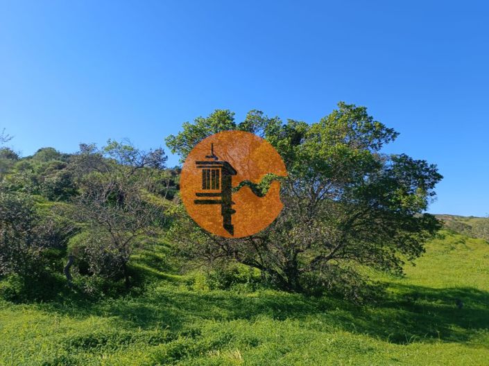 Image No.17-Plot for sale