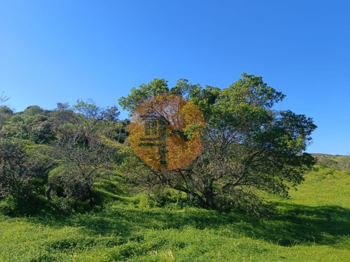 Image No.17-Plot for sale