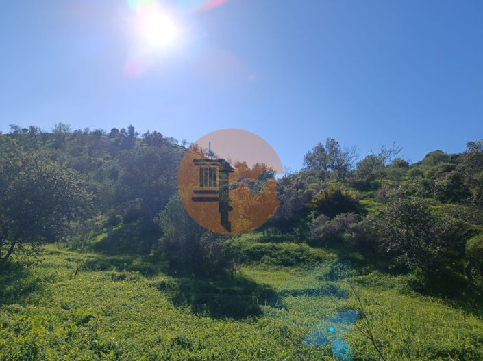 Image No.18-Plot for sale