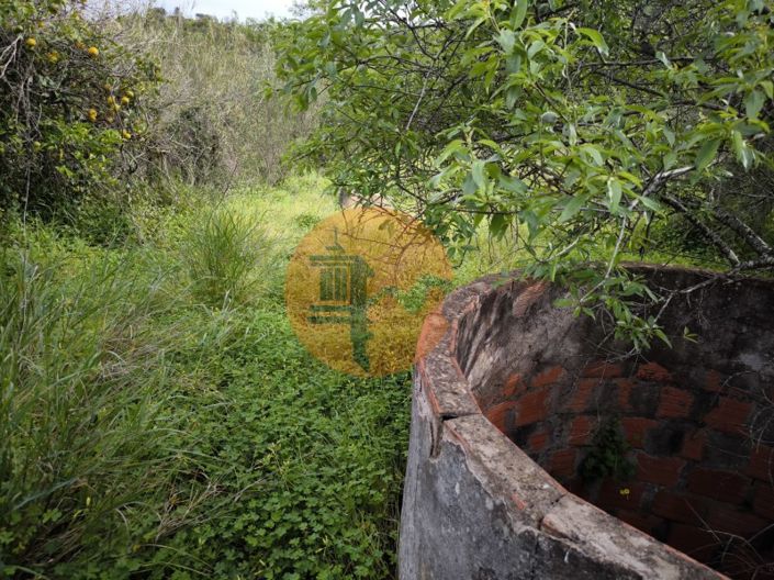 Image No.20-Plot for sale