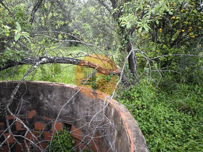 Image No.23-Plot for sale