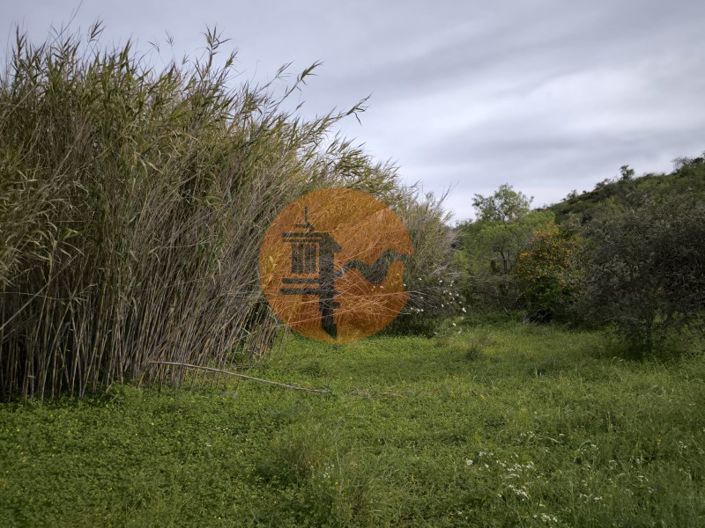 Image No.24-Plot for sale