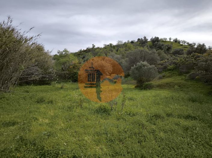 Image No.26-Plot for sale