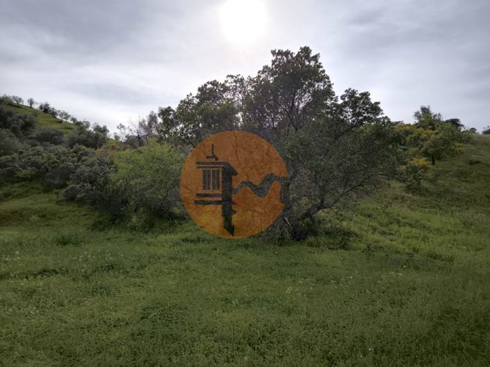 Image No.27-Plot for sale