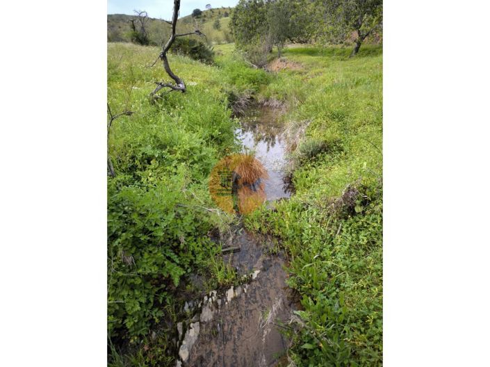 Image No.29-Plot for sale