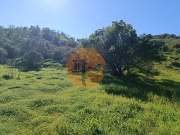 id9b4f7701-0000-0500-0000-00001308327c