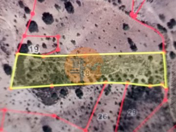 id9b4f7701-0000-0500-0000-000013083289