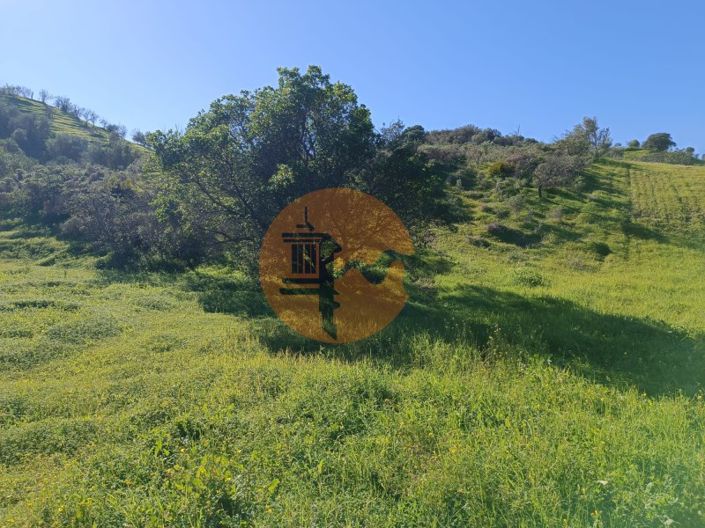 Image No.6-Plot for sale