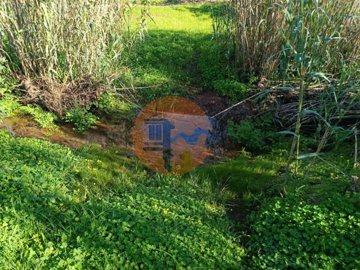 id9b4f7701-0000-0500-0000-00001308327e