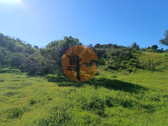 Image No.9-Plot for sale