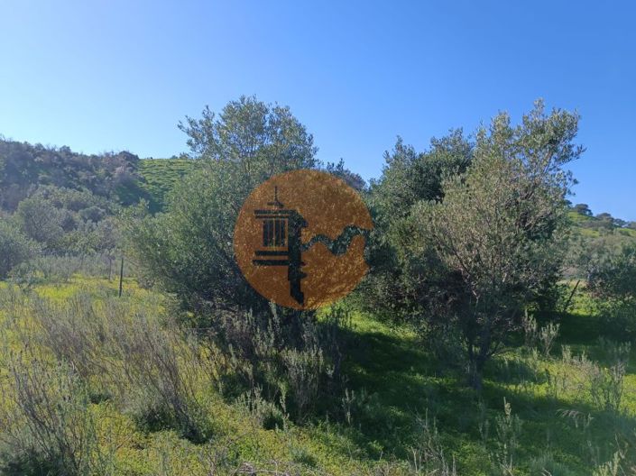 Image No.10-Plot for sale