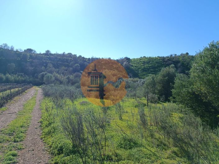 Image No.12-Plot for sale