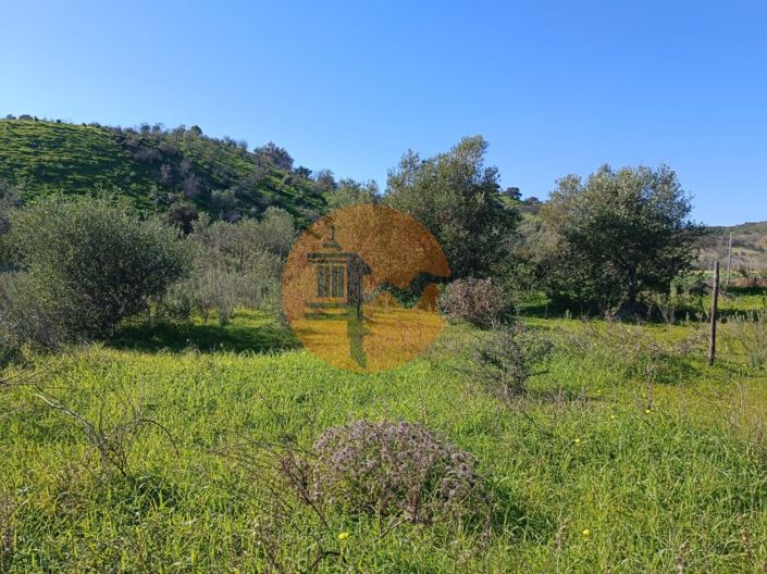 Image No.13-Plot for sale