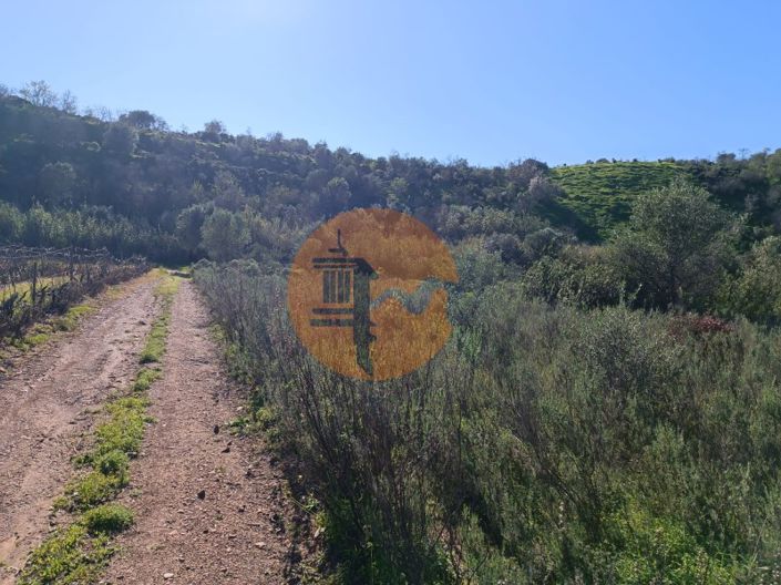 Image No.14-Plot for sale