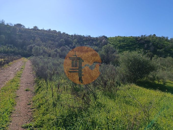 Image No.15-Plot for sale