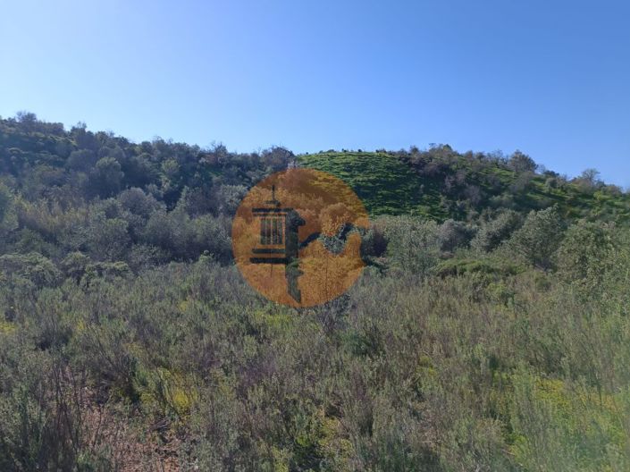 Image No.16-Plot for sale