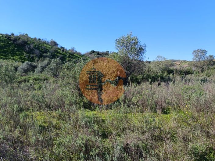 Image No.18-Plot for sale