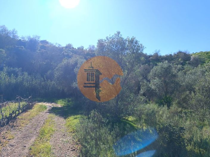 Image No.19-Plot for sale