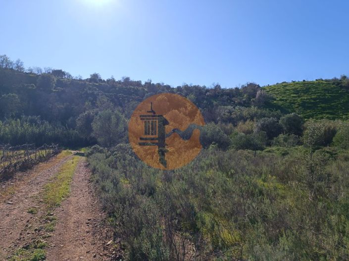 Image No.20-Plot for sale